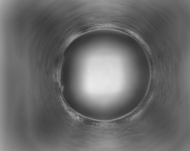X0000052580905200507081725