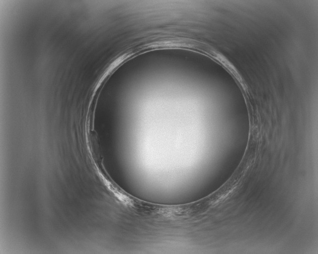 X0000052580909200507081725