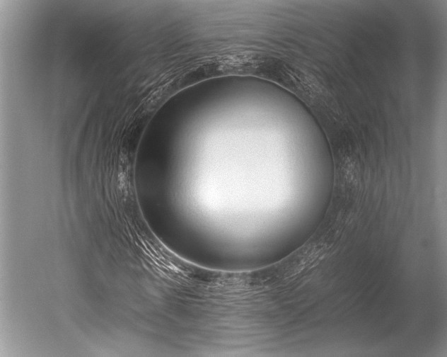 X0000052580914200507081724