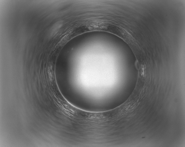 X0000052580915200507081724