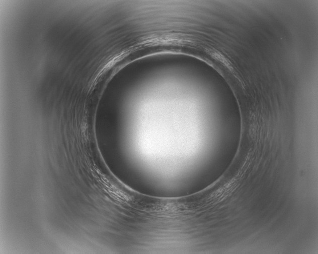 X0000052580922200507081724