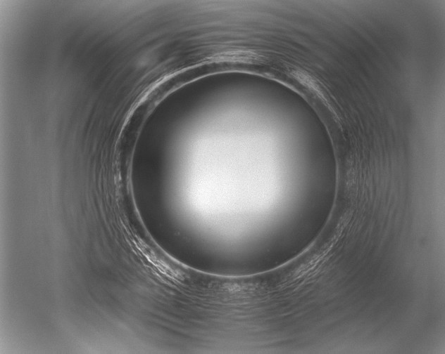 X0000052580923200507081724