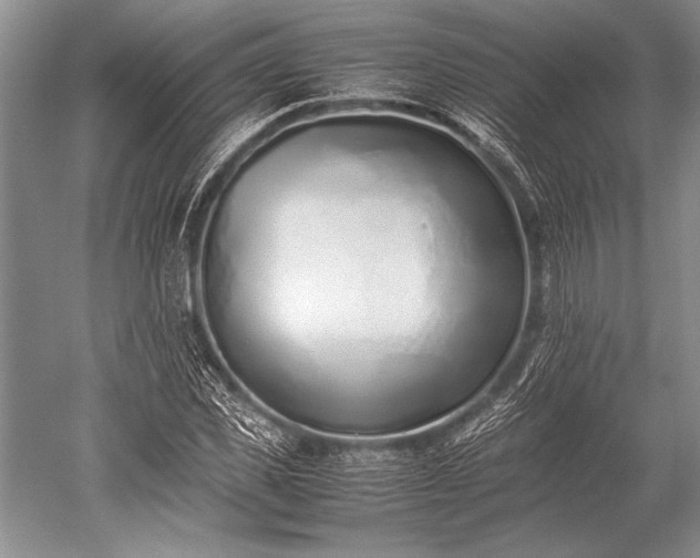 X0000052580925200507081724