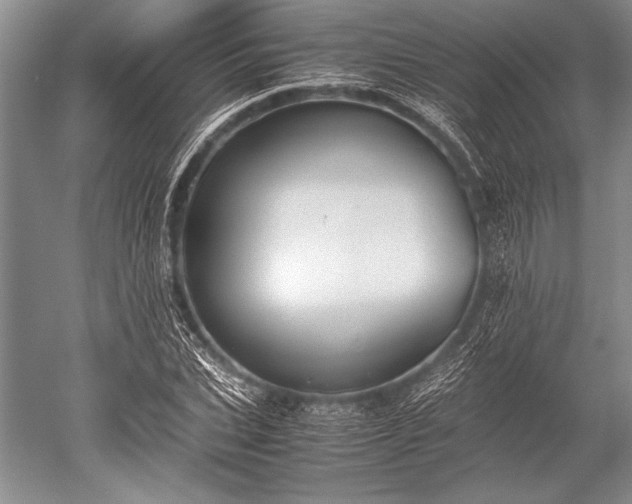 X0000052580927200507081724