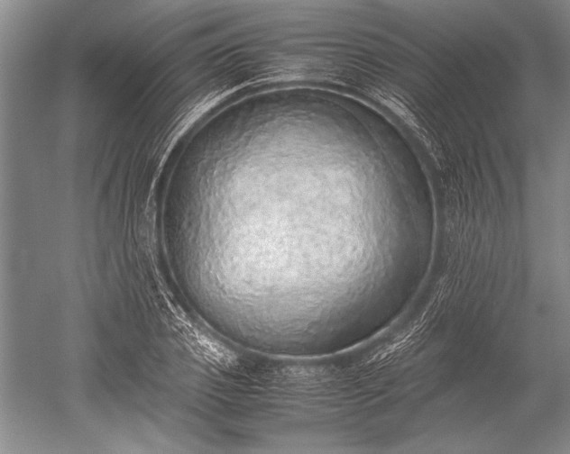 X0000052580933200507081724