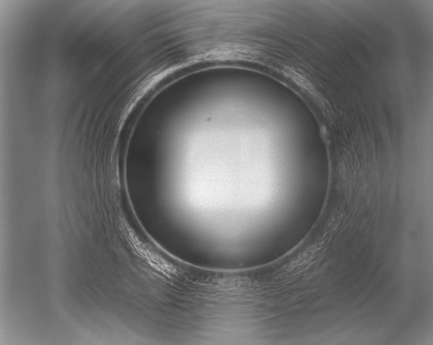X0000052580934200507081724