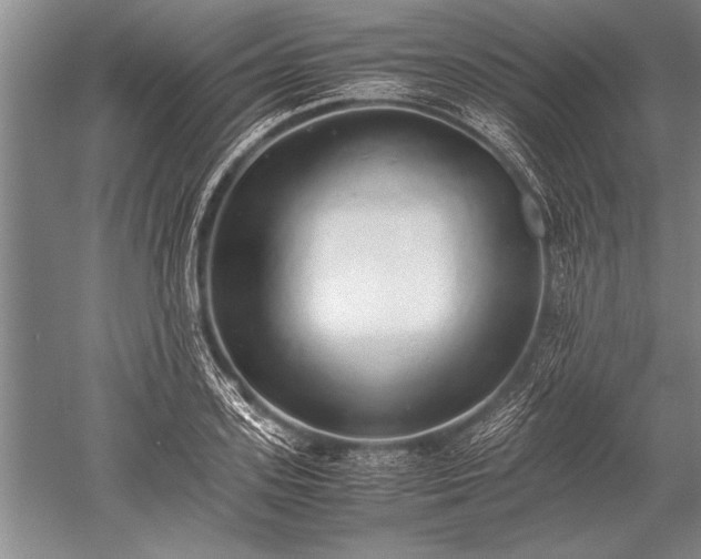 X0000052580939200507081724
