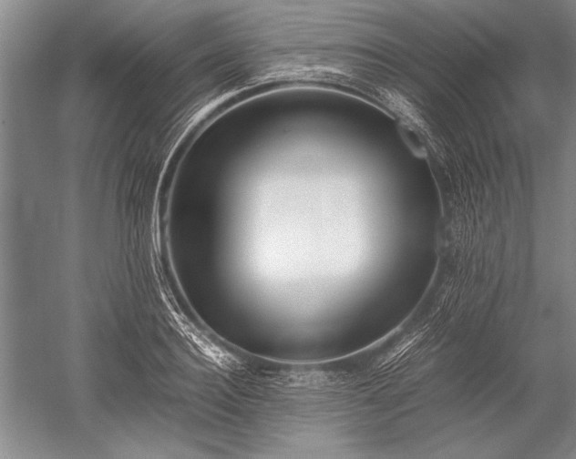 X0000052580940200507081724