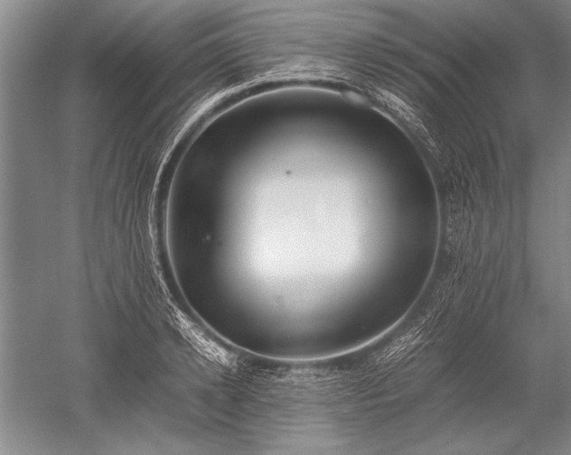 X0000052580942200507081724