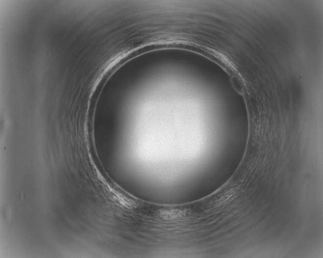 X0000052580943200507081724