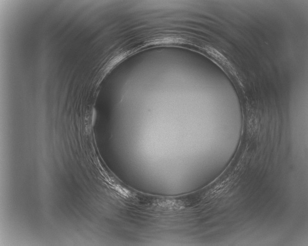 X0000052580945200507081724