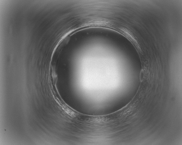 X0000052580948200507081724