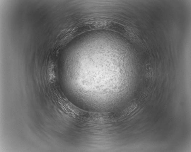 X0000052580962200507081724