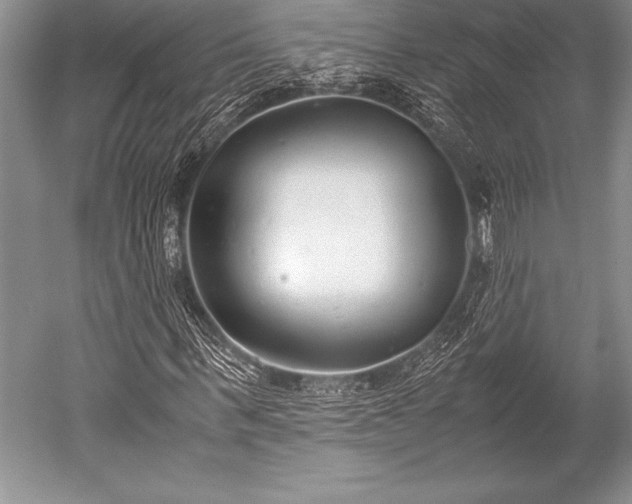 X0000052580963200507081724