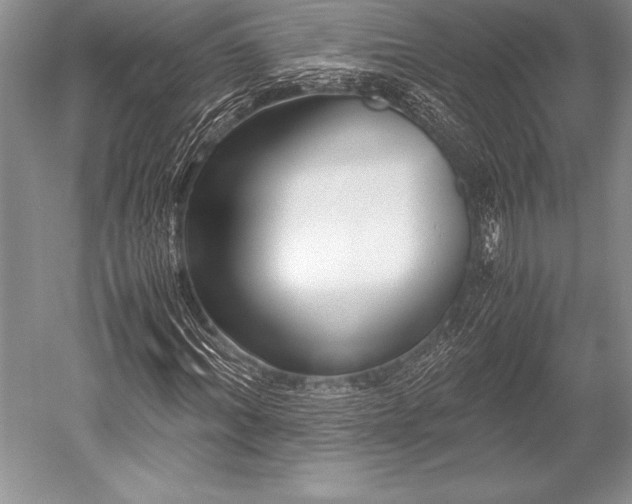 X0000052580964200507081724
