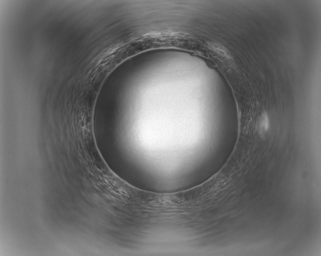 X0000052580966200507081724