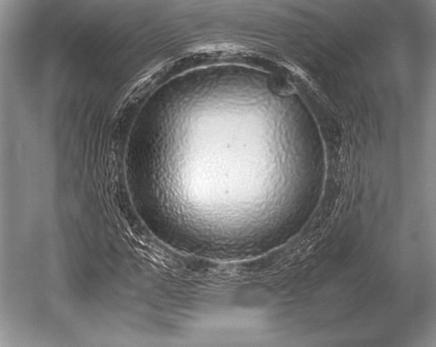 X0000052580967200507081724