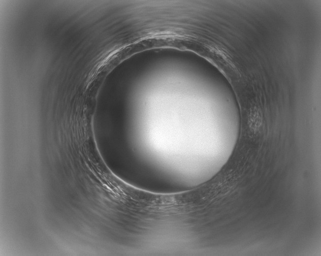 X0000052580968200507081724