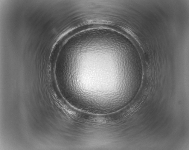 X0000052580971200507081723