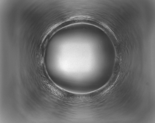 X0000052580973200507081723