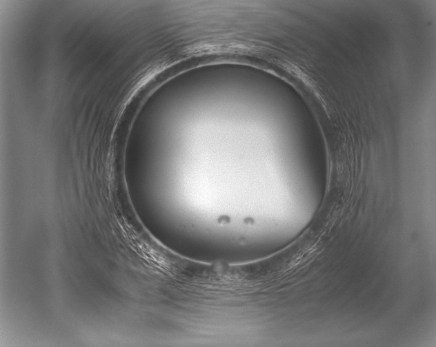 X0000052580975200507081723