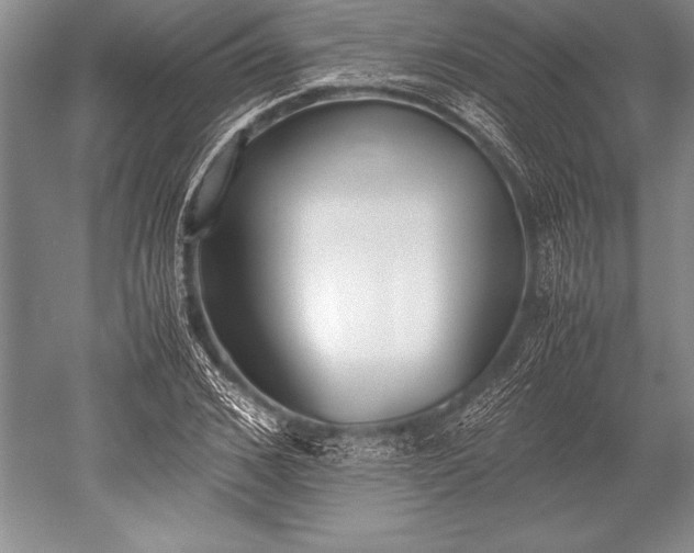 X0000052580976200507081723