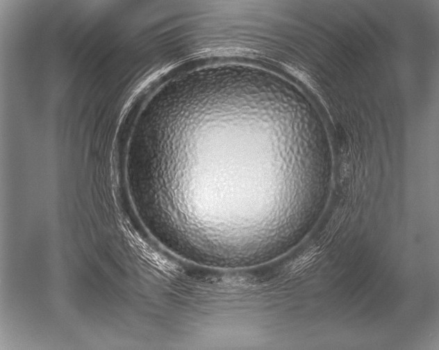 X0000052580979200507081723
