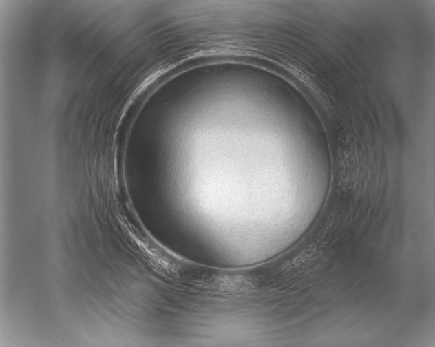 X0000052580982200507081723