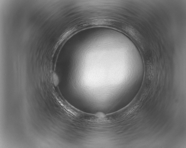 X0000052580986200507081723