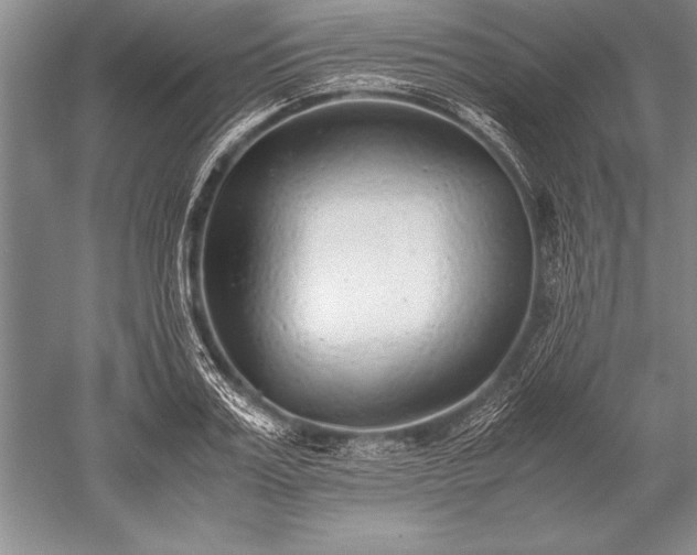 X0000052580987200507081723