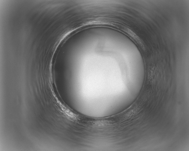 X0000052580988200507081723