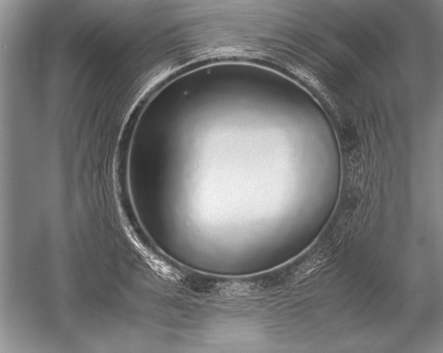 X0000052580991200507081723