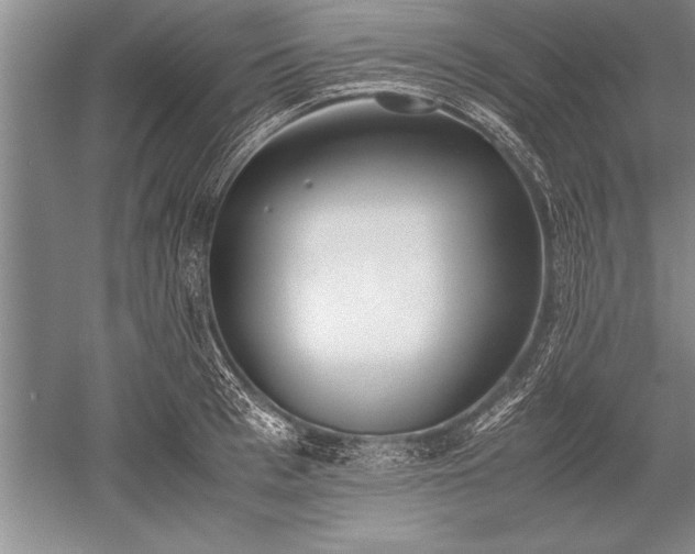 X0000052580993200507081723
