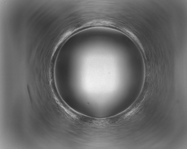 X0000052580997200507081723