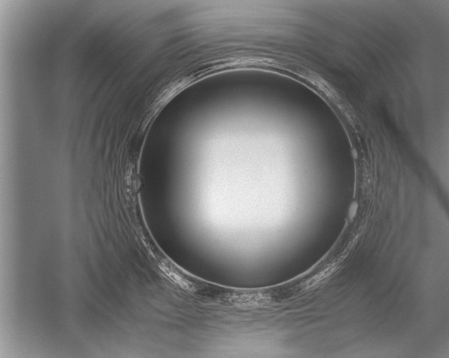 X0000052581001200507081723