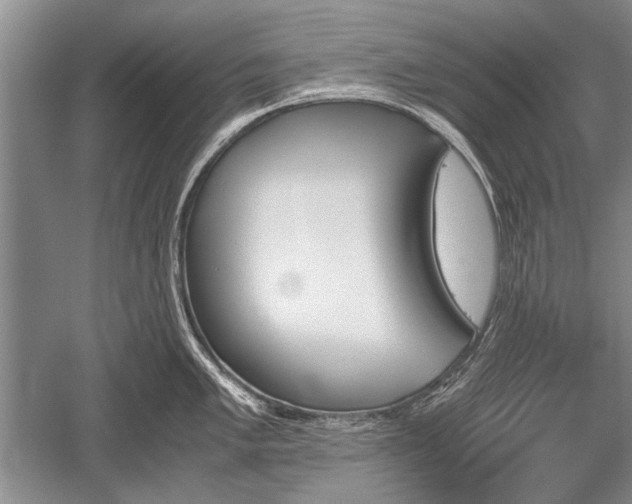 X0000052581005200507081723