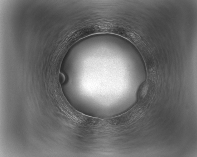 X0000052581009200507081722