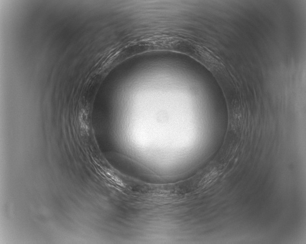 X0000052581010200507081722