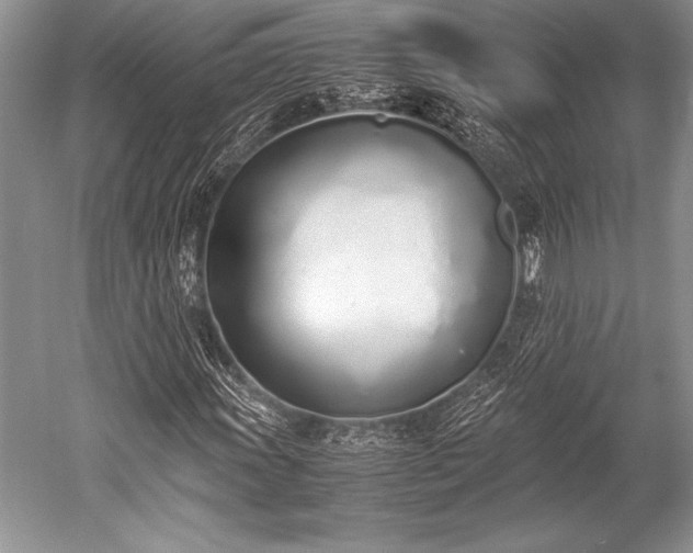 X0000052581011200507081722