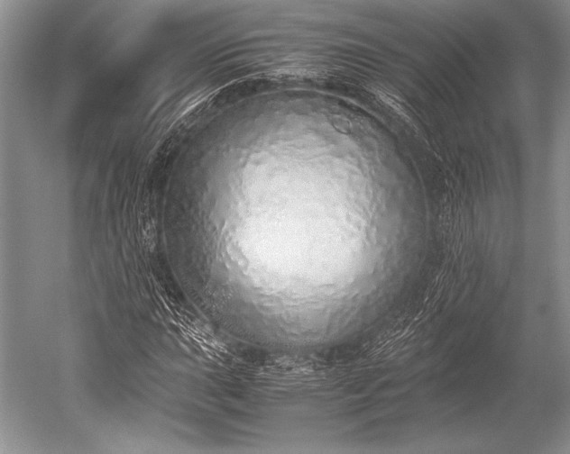 X0000052581015200507081722