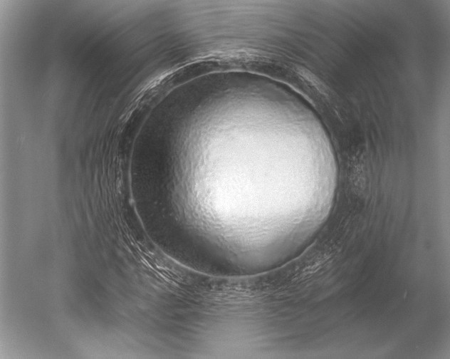 X0000052581016200507081722
