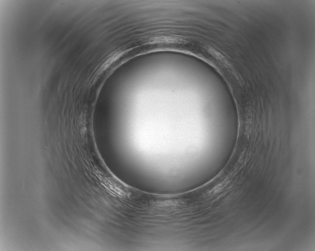 X0000052581017200507081722