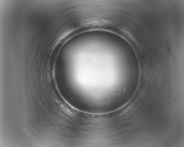 X0000052581018200507081722