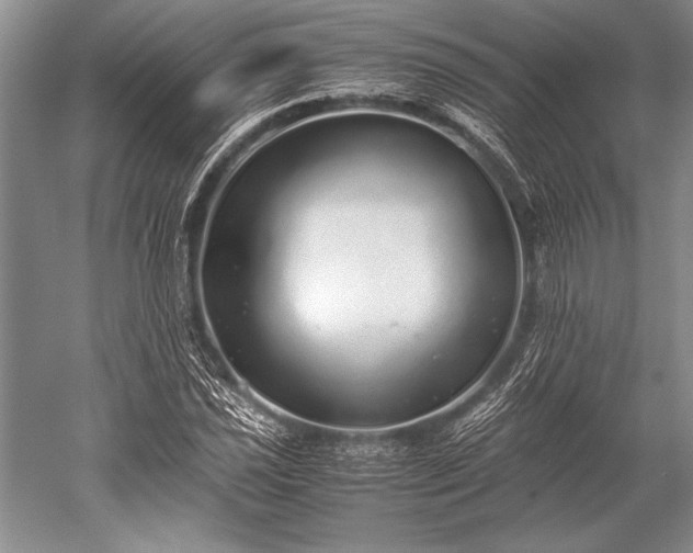 X0000052581021200507081722