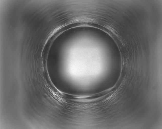 X0000052581022200507081722