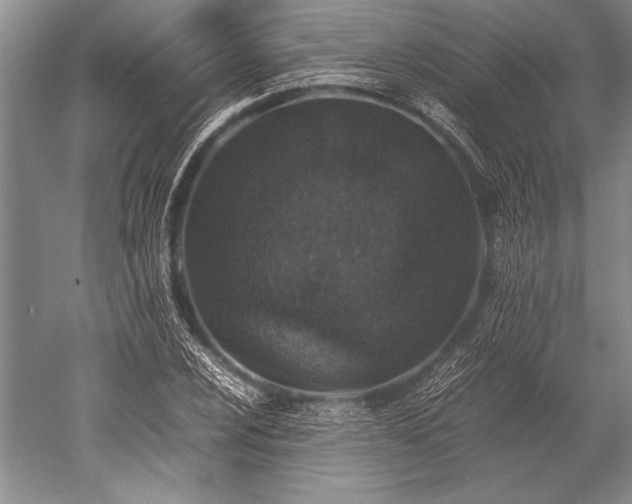 X0000052581024200507081722
