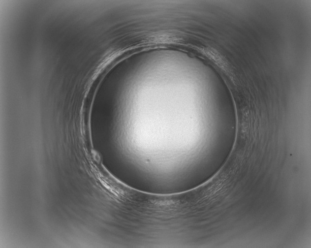 X0000052581031200507081722
