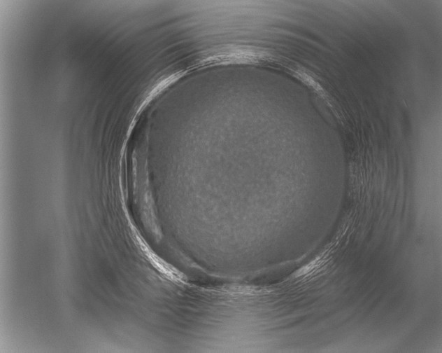 X0000052581034200507081722