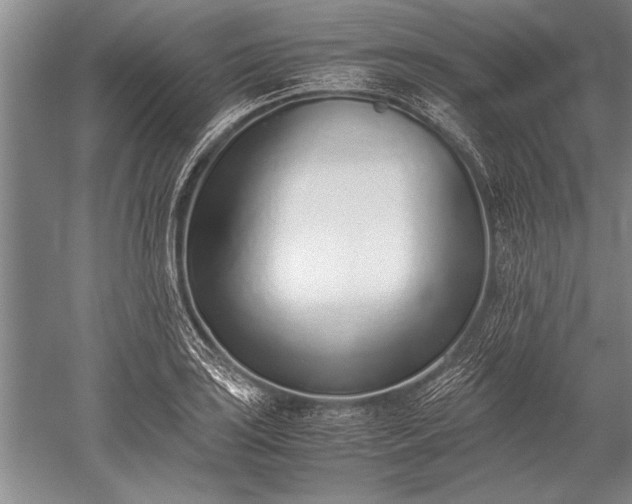 X0000052581035200507081722