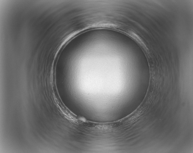 X0000052581044200507081723
